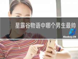 星露谷物语中哪个男生最帅