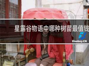 星露谷物语中哪种树苗最值钱