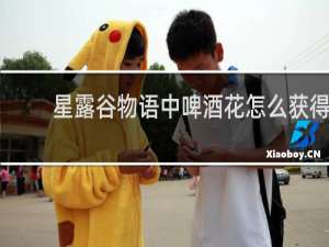 星露谷物语中啤酒花怎么获得