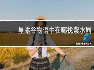 星露谷物语中在哪找紫水晶