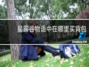 星露谷物语中在哪里买背包