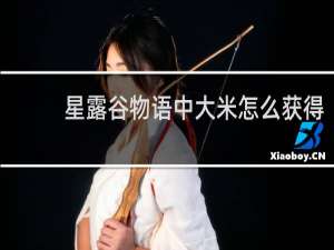 星露谷物语中大米怎么获得