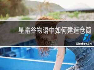 星露谷物语中如何建造仓筒