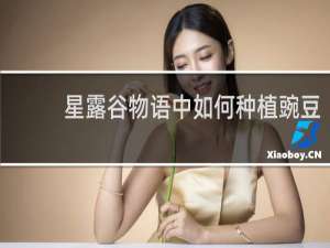 星露谷物语中如何种植豌豆