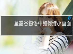 星露谷物语中如何缩小画面