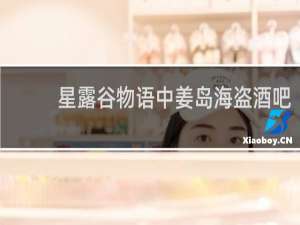 星露谷物语中姜岛海盗酒吧
