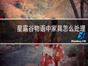 星露谷物语中家具怎么处理