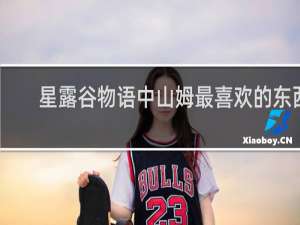 星露谷物语中山姆最喜欢的东西