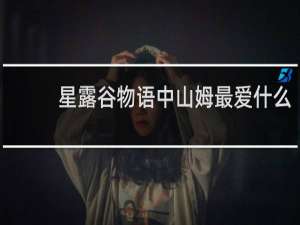 星露谷物语中山姆最爱什么