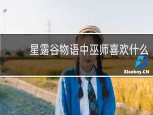 星露谷物语中巫师喜欢什么