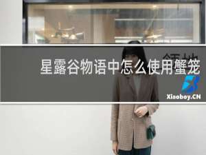 星露谷物语中怎么使用蟹笼