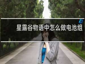 星露谷物语中怎么做电池组