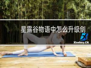 星露谷物语中怎么升级剑