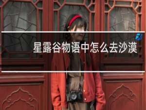 星露谷物语中怎么去沙漠