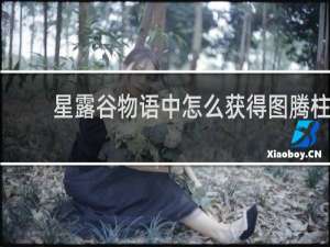 星露谷物语中怎么获得图腾柱