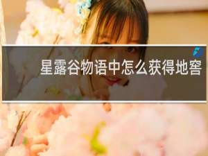 星露谷物语中怎么获得地窖