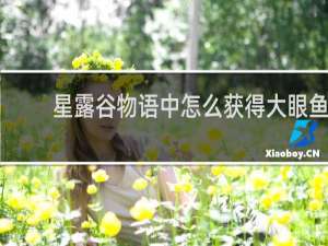 星露谷物语中怎么获得大眼鱼