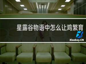 星露谷物语中怎么让鸡繁育