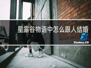 星露谷物语中怎么跟人结婚