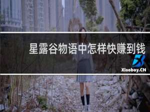 星露谷物语中怎样快赚到钱