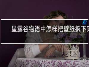 星露谷物语中怎样把壁纸拆下来