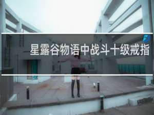 星露谷物语中战斗十级戒指