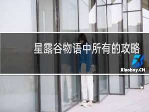 星露谷物语中所有的攻略