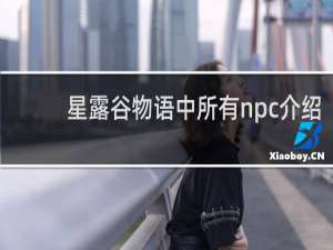 星露谷物语中所有npc介绍