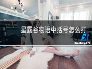 星露谷物语中括号怎么打