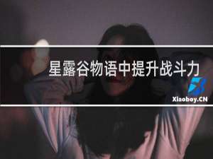 星露谷物语中提升战斗力