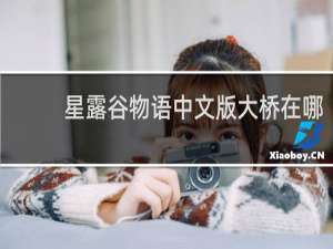 星露谷物语中文版大桥在哪