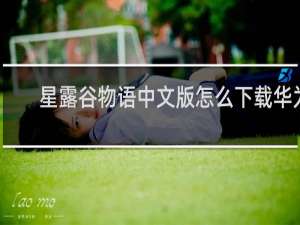 星露谷物语中文版怎么下载华为