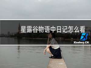星露谷物语中日记怎么看