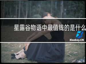 星露谷物语中最值钱的是什么