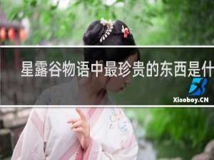 星露谷物语中最珍贵的东西是什么