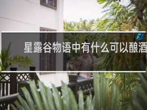 星露谷物语中有什么可以酿酒