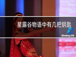 星露谷物语中有几把钥匙