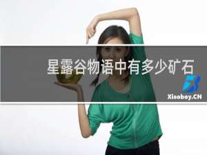 星露谷物语中有多少矿石