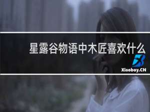 星露谷物语中木匠喜欢什么