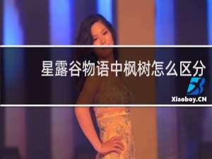 星露谷物语中枫树怎么区分