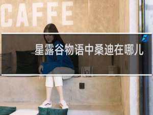 星露谷物语中桑迪在哪儿