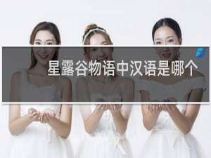 星露谷物语中汉语是哪个