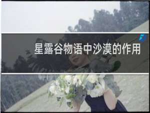 星露谷物语中沙漠的作用