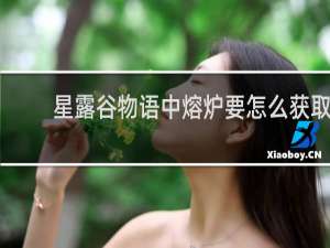 星露谷物语中熔炉要怎么获取