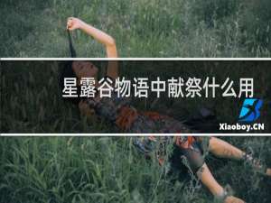 星露谷物语中献祭什么用