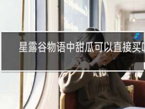 星露谷物语中甜瓜可以直接买吗
