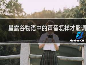 星露谷物语中的声音怎样才能调好