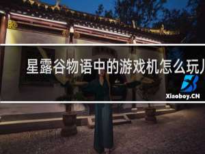 星露谷物语中的游戏机怎么玩儿