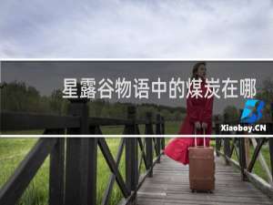 星露谷物语中的煤炭在哪