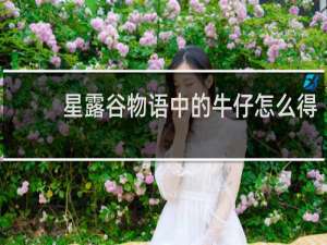 星露谷物语中的牛仔怎么得